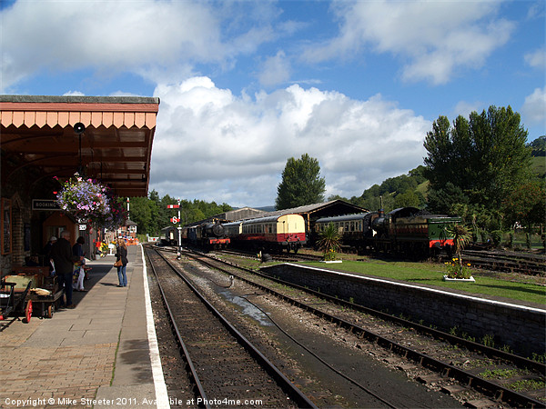 Buckfastleigh Station Picture Board by Mike Streeter