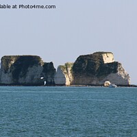 Buy canvas prints of Old Harry Rocks by Mike Streeter