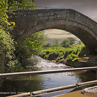 Medieval Duck Bridge