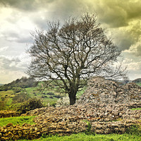 Buy canvas prints of  Branching Out Of The Castle Ruins by Marie Castagnoli