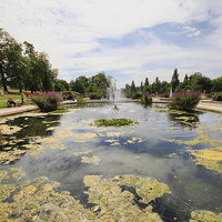 Buy canvas prints of    The Water Feature by Marie Castagnoli