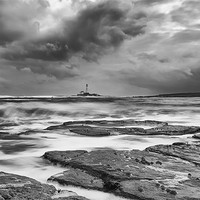 Buy canvas prints of Stormy day, St Marys Lighthouse by Tom Hibberd