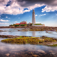Buy canvas prints of St Marys Lighthouse, Northumberland by Tom Hibberd