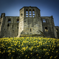 Buy canvas prints of  Spring at Warkworth Castle, Northumberland by Tom Hibberd