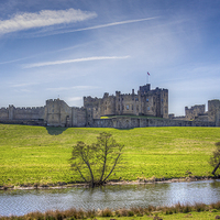Buy canvas prints of  Alnwick Castle, Northumberland by Tom Hibberd
