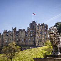 Buy canvas prints of  Standing Guard over Alnwick Castle by Tom Hibberd