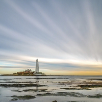 Buy canvas prints of  Rays from St Mary's Lighthouse by Tom Hibberd