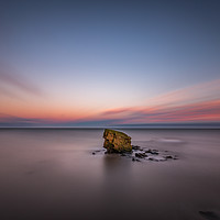 Buy canvas prints of Charlie's Garden, Collywell Bay. by Tom Hibberd