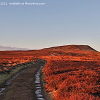 Buy canvas prints of Penhill sunrise by andrew gaines