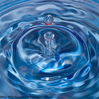 Buy canvas prints of Water Drop by Mary Fletcher