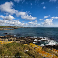 Buy canvas prints of Prussia Cove, Cornwall by Mary Fletcher