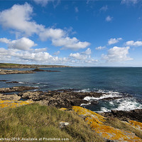 Buy canvas prints of Prussia Cove, Cornwall by Mary Fletcher