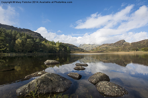  Blea Tarn, The Lake District Picture Board by Mary Fletcher