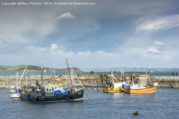 Fishing Boats in Mevagissey Harbour Picture Board by Mary Fletcher