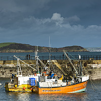 Buy canvas prints of Mevagissey Fishing Boats by Mary Fletcher
