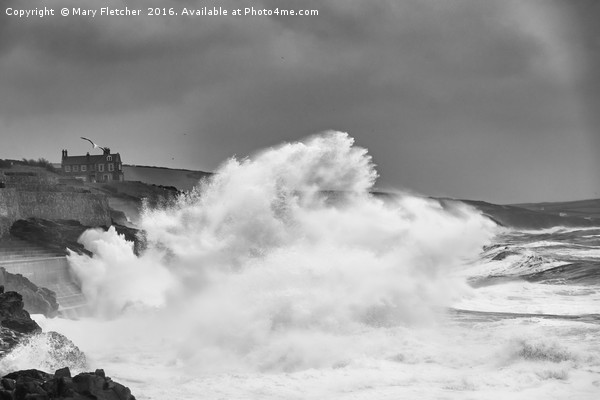 Massive Wave, Porthleven Picture Board by Mary Fletcher