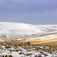 Buy canvas prints of Dartmoor in the Snow by Mary Fletcher