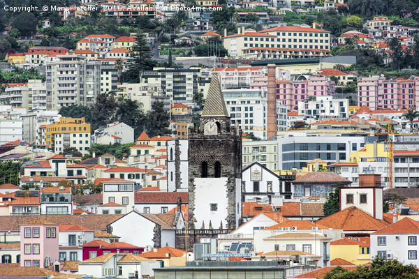 Funchal, Madeira Picture Board by Mary Fletcher