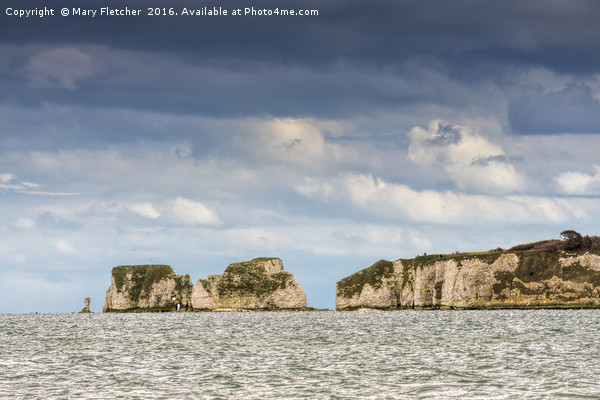 Old Harry Rocks Picture Board by Mary Fletcher