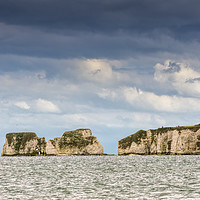 Buy canvas prints of Old Harry Rocks by Mary Fletcher
