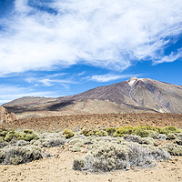 Buy canvas prints of Mount Teide by Mary Fletcher