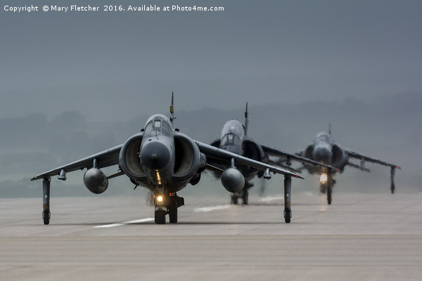 Harrier Jump Jets Picture Board by Mary Fletcher