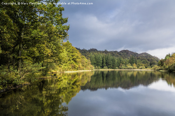 Yew Tree Tarn, Cumbria, Lake District Picture Board by Mary Fletcher
