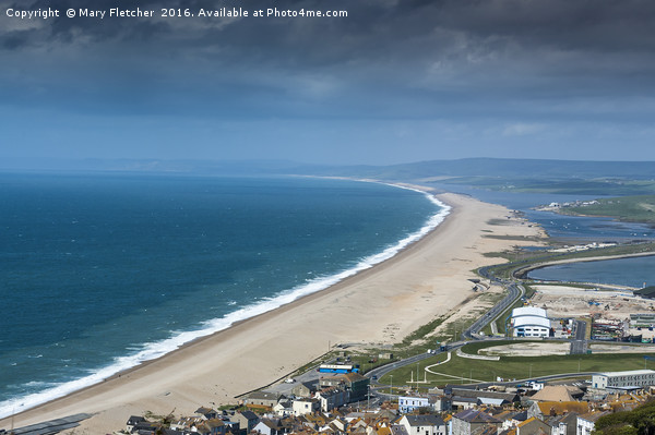 Chesil Beach Picture Board by Mary Fletcher