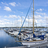 Buy canvas prints of Mylor Yacht Harbour by Mary Fletcher