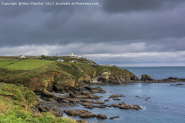 Lizard Point Picture Board by Mary Fletcher
