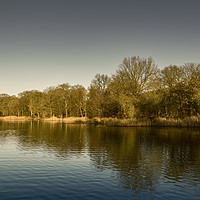 Buy canvas prints of Forest of Dean Lake by Mary Fletcher