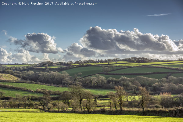 Cornish Landscape Picture Board by Mary Fletcher