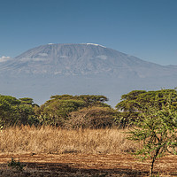 Buy canvas prints of Mount Kilimanjaro by Mary Fletcher