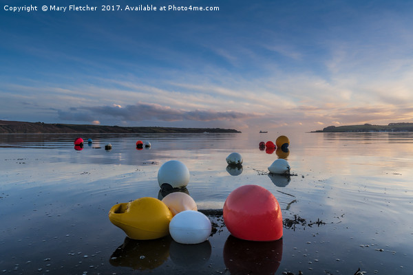 Buoys at Loe Beach Picture Board by Mary Fletcher