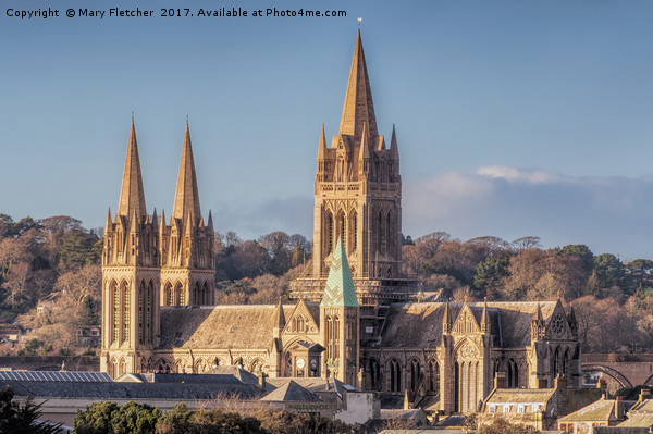 Truro Cathedral Picture Board by Mary Fletcher