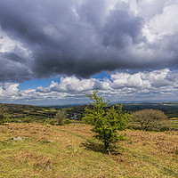 Buy canvas prints of View to Dartmoor by Mary Fletcher