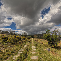 Buy canvas prints of Path to Cheesewring by Mary Fletcher