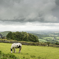 Buy canvas prints of Cheesewring Farm by Mary Fletcher