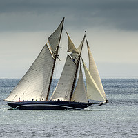 Buy canvas prints of Superyacht Mariette by Mary Fletcher