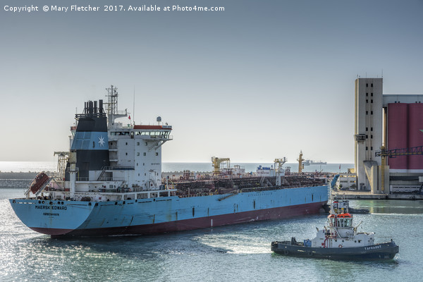 Maersk Edward Picture Board by Mary Fletcher