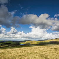 Buy canvas prints of The View to Meldon Reservoir by Mary Fletcher