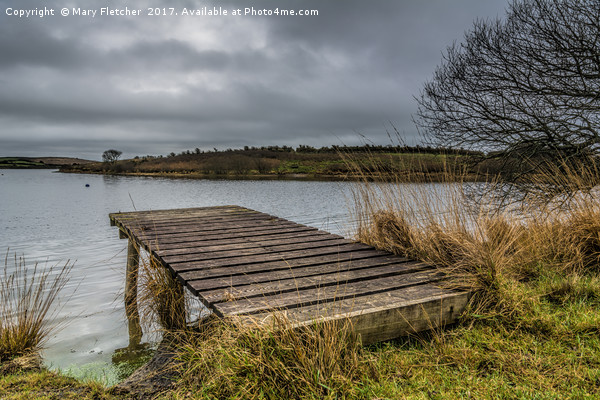 Fishing Jetty, Stithians Lake Picture Board by Mary Fletcher