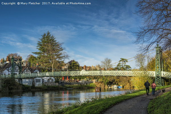 Porthill Bridge, Shrewsbury Picture Board by Mary Fletcher