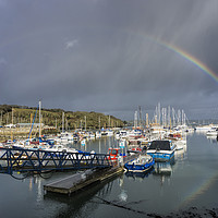 Buy canvas prints of Mylor Yacht Harbour by Mary Fletcher
