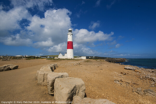 Portland Bill lighthouse Picture Board by Mary Fletcher