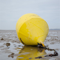 Buy canvas prints of Buoy in the sand by James  Hare