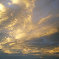 Buy canvas prints of Transient wispy summer evening cloud by Rhoda Howie