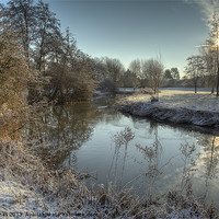 Buy canvas prints of Winter at the river colne. by barry jones