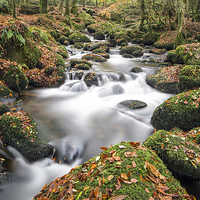 Buy canvas prints of  autumn stream by Kelvin Rumsby