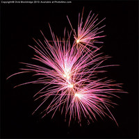 Buy canvas prints of Pink Fireworks - Night time by Chris Wooldridge